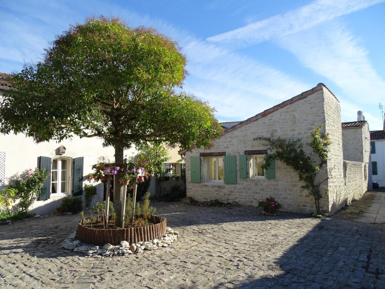 Maison Salicorne ลาฟร็อตต์ ภายนอก รูปภาพ